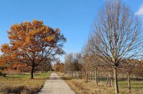 A Zöldvárosi Élményfarm alapítvány végre megkezdte gyakorlati működését!